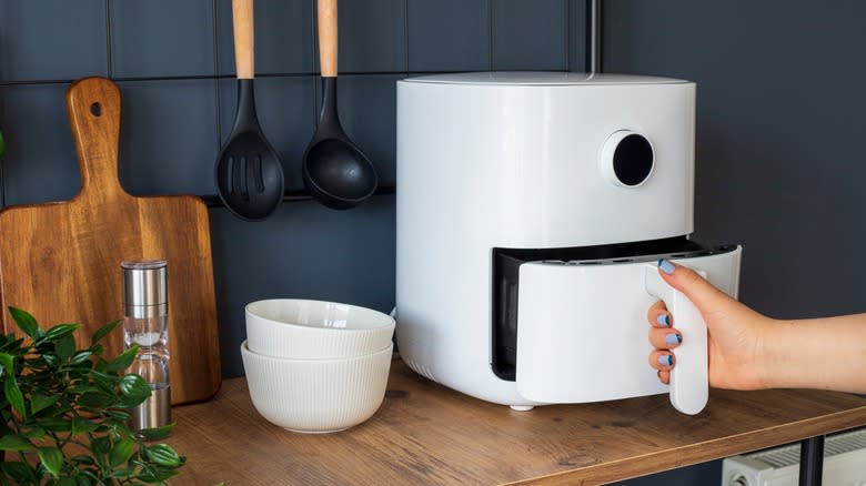 Hand holding air fryer handle