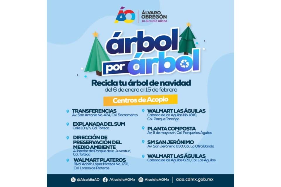 acopio arboles de navidad alvaro obregon