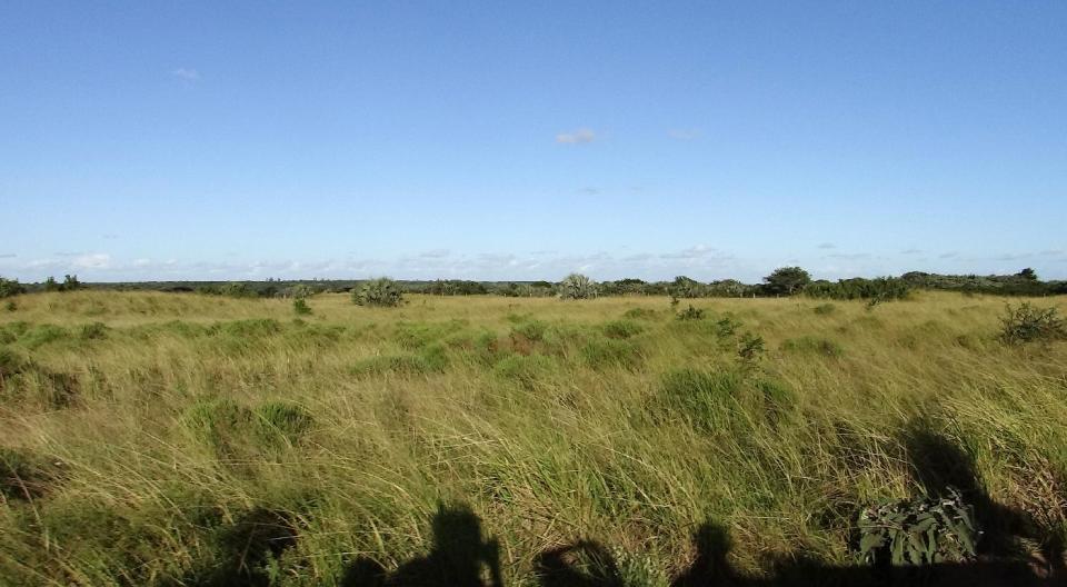 This April 2012 photo shows the shadows of guests on a game drive as they scan the savanna for wildlife at the Phinda Private Game Reserve, near the town of Hluhluwe, in Kwazulu-Natal province, South Africa. Phinda’s luxury lodges are spread over 56,000 acres and seven habitats, from the savanna to the unique sand forest. Rangers take visitors on drives to observe the Big Five (Cape buffalo, elephant, leopard, lion and rhino) and other animals roaming freely in protected open spaces. (AP Photo/Matthew Craft)