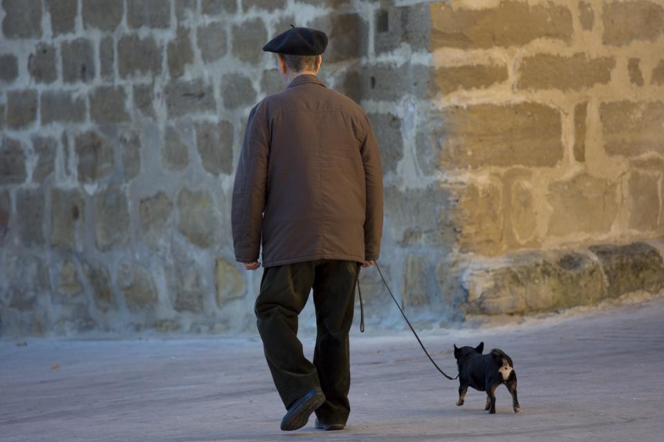 SPAIN - SEPTEMBER 15:  Old man walking his chihuahua dog in the streets of Laguardia, Northern Spain&#13;&#10;&#13;&#10;  (Photo by Tim Graham/Getty Images)