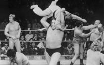 In den 70-ern und frühen 80-ern war der gebürtige Franzose André Roussimoff völlig konkurrenzlos in der Wrestling-Welt - man nannte ihn auch "Das achte Weltwunder". (Bild: Bettmann/Getty Images)