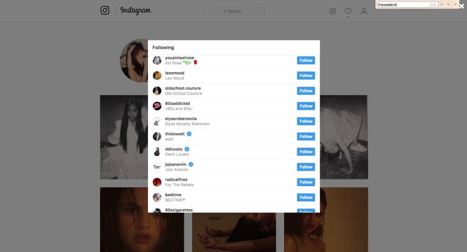 Picture of Selena Gomez Instagram Following