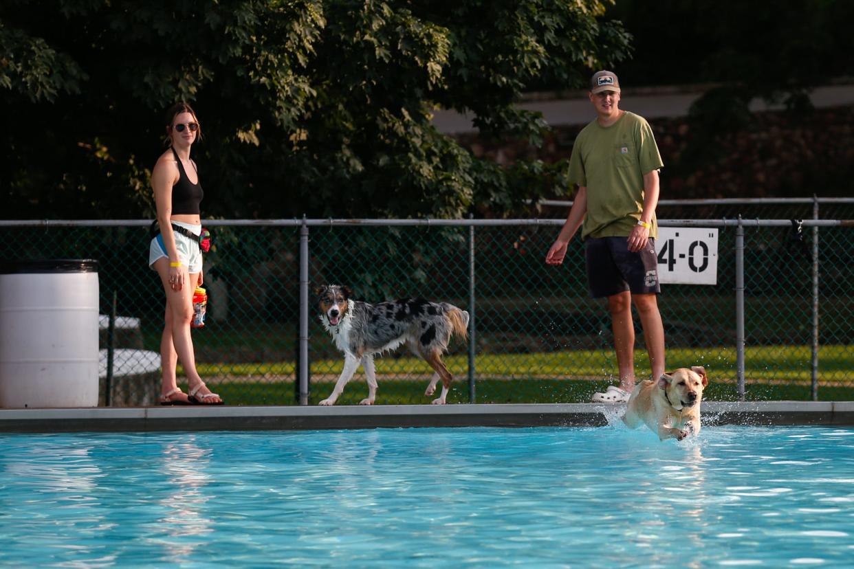 Dogs and their owners enjoy the cool water and company of others during the Dog Swim at Fassnight Park and Pool on Tuesday, Sept. 6. The Dog Swim is a popular annual event at Fassnight Park and Pool. The day after Labor Day the pool is opened up just for canines. No humans are allowed in the water, but dogs have the chance to swim and run around on their own.