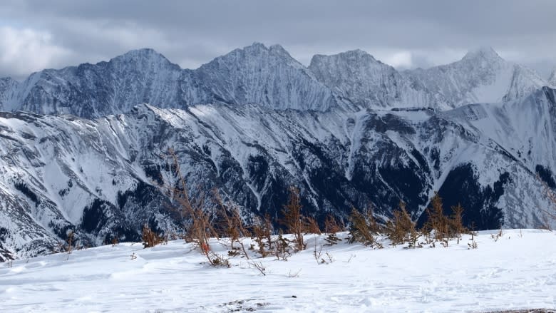 How 3D maps of an Alberta mountain could help predict the next flood or drought