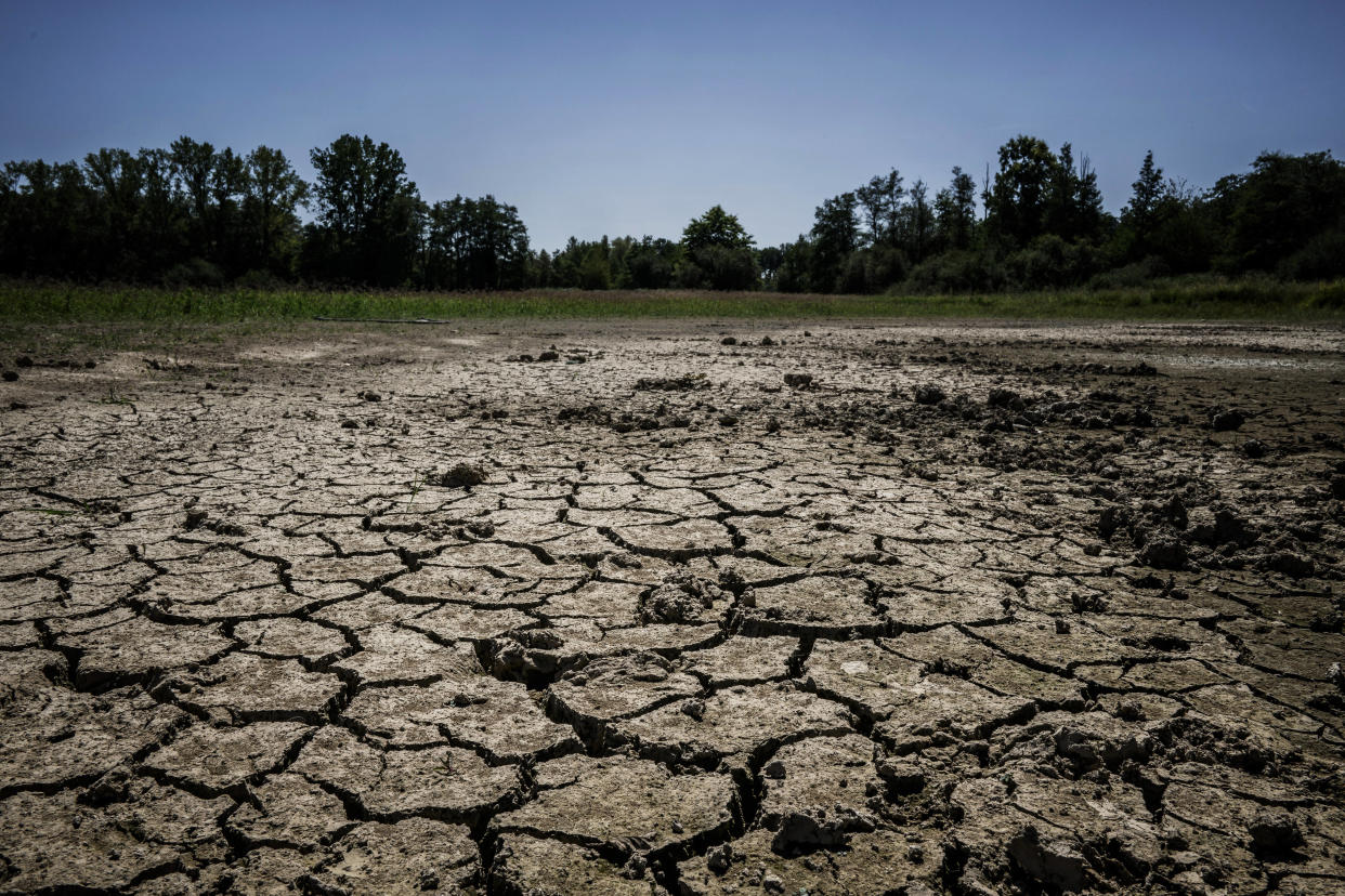 En Europe, plus de 80 % des écosystèmes naturels sont en mauvais état. Photo d’illustration d’’étangs asséchés le 11 août 2023 près de Joyeux dans le plateau de la Dombes, en France.