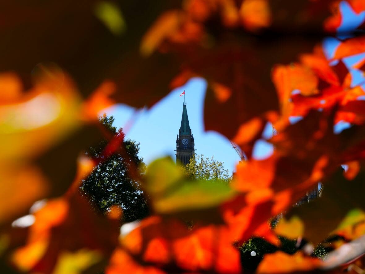 The Peace Tower on Parliament Hill is pictured through fall leaves Oct. 3, 2022. (Sean Kilpatrick/The Canadian Press - image credit)