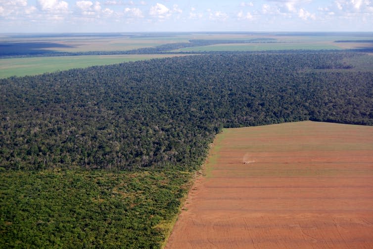 <span class="caption">Monocultures of crops such as soy in the Amazon are causing deforestation and environmental degradation.</span> <span class="attribution"><a class="link " href="https://www.shutterstock.com/image-photo/deforestation-brazil-aerial-view-large-soy-19735894?src=sOlXLfy3O2YM0i5xd5KNxA-1-0&studio=1" rel="nofollow noopener" target="_blank" data-ylk="slk:Frontpage/Shutterstock;elm:context_link;itc:0;sec:content-canvas">Frontpage/Shutterstock</a></span>