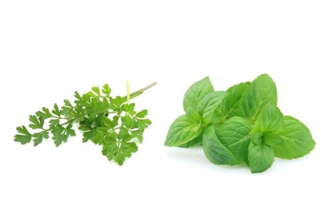 Parsley and Mint: