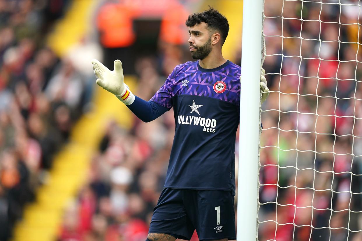 Brentford goalkeeper David Raya is wanted by Tottenham (Mike Egerton/PA) (PA Wire)