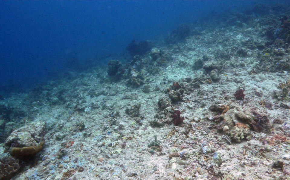 This photo taken in March 20, 2012 shows damaged coral reefs in the waters of Tatawa Besar, Komodo islands, Indonesia. Coral gardens off the Komodo Islands were just a few months ago teeming with clouds of brightly colored reef fish, octopi with fluorescent banded eyes and black-and-blue striped sea snakes. Today, after being pounded by increasingly brazen blast fisherman, several diving sites within the U.N. World Heritage Site have been transformed into desolate grey moonscapes. (AP Photo/Michael W. Ishak)