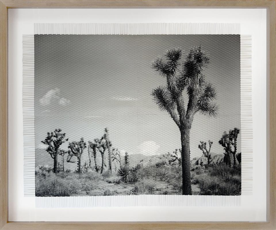 "Karma Landscape #1" is a new photo in the "Karma Tree" series.