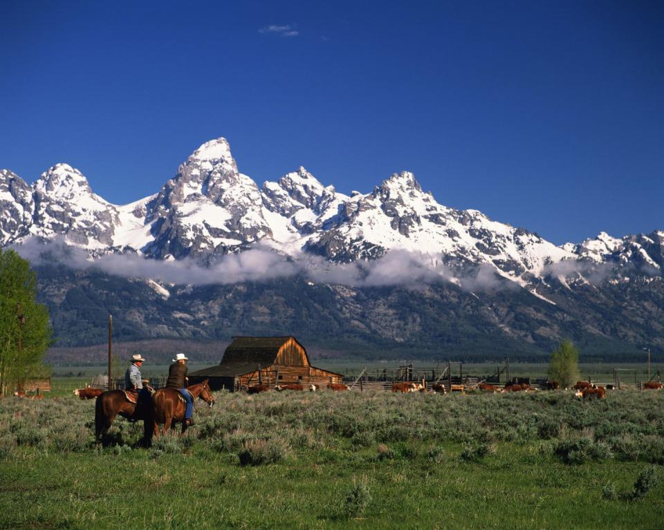 Triangle X Ranch: Grand Teton National Park