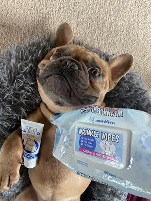 Wrinkle Paste For Dogs