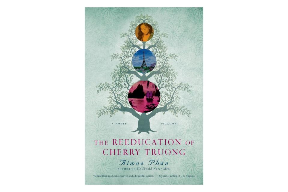 The Reeducation of Cherry Truong book