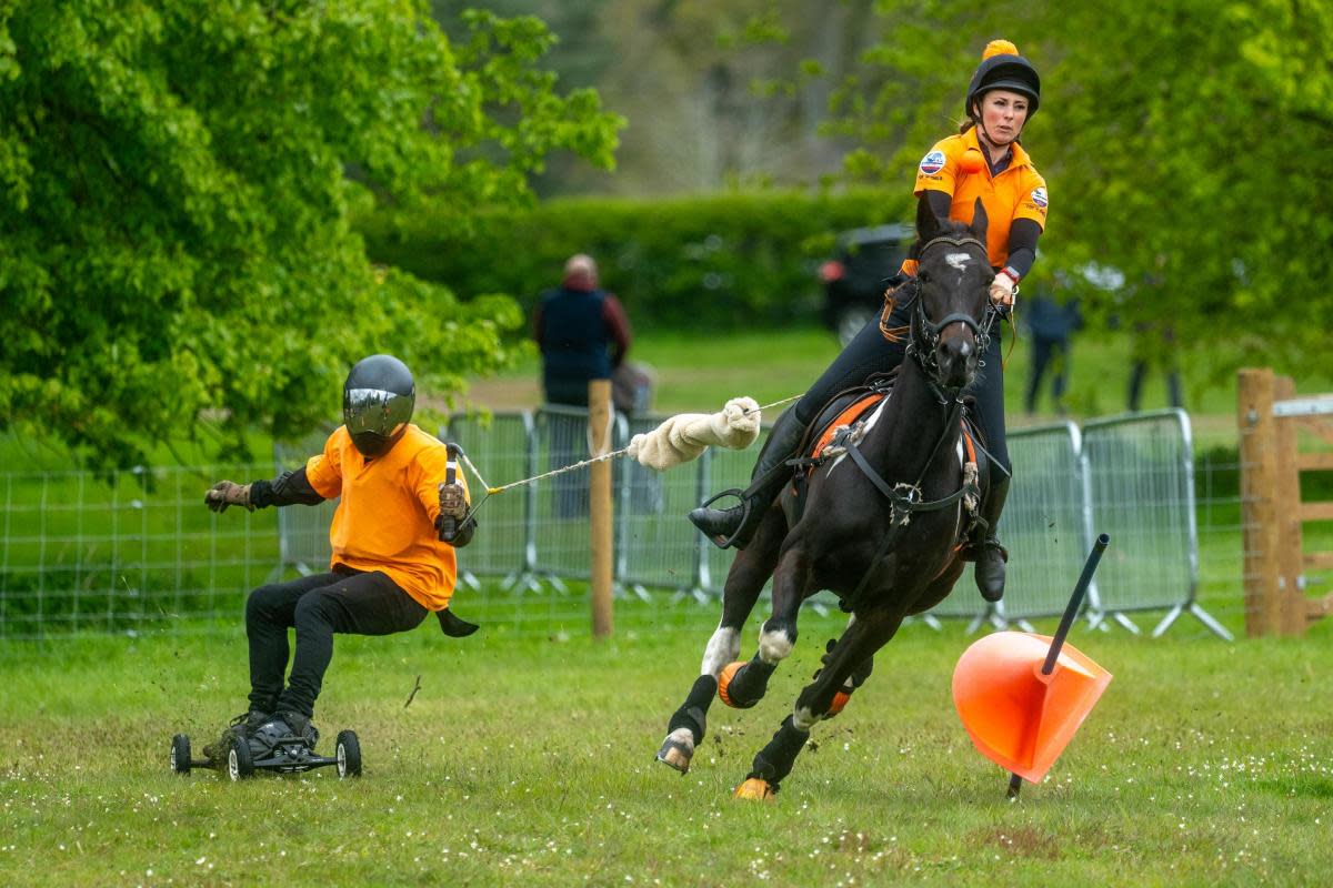 The East Anglian Game and Country Fair has returned for its 20th year <i>(Image: Steve Adams)</i>