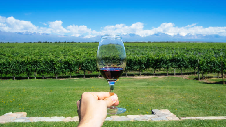 hand holding glass of malbec