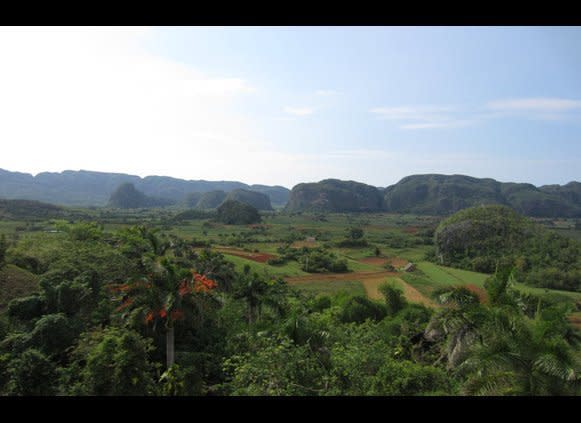 With its limestone mountains, fertile soil and caves, Vinales is at the top of many visitors' wish lists. Catherine Greenberg from <a href="http://www.globeaware.org/cuba-program" target="_hplink">Globe Aware</a> notes that "Our most popular area of volunteering is in the Pinar del Rio Province and the Vinales Valley. It is a UNESCO world heritage site because of the continued use of traditional agriculture methods." There are many different types of projects afoot, but whatever travelers wind up doing, they will most likely end up taking frequent breaks to enjoy the view.    Photo: Elizabeth Brady/HuffPost Travel