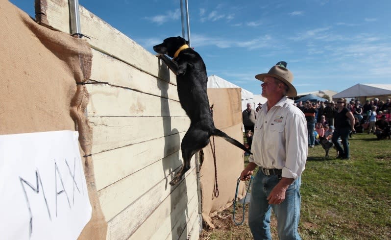 2014 Newdegate Machinery Field Days