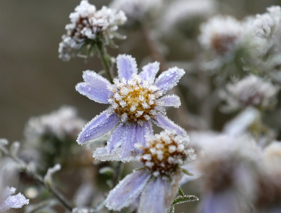 Low temperatures in eastern Gangwon Province of South Korea