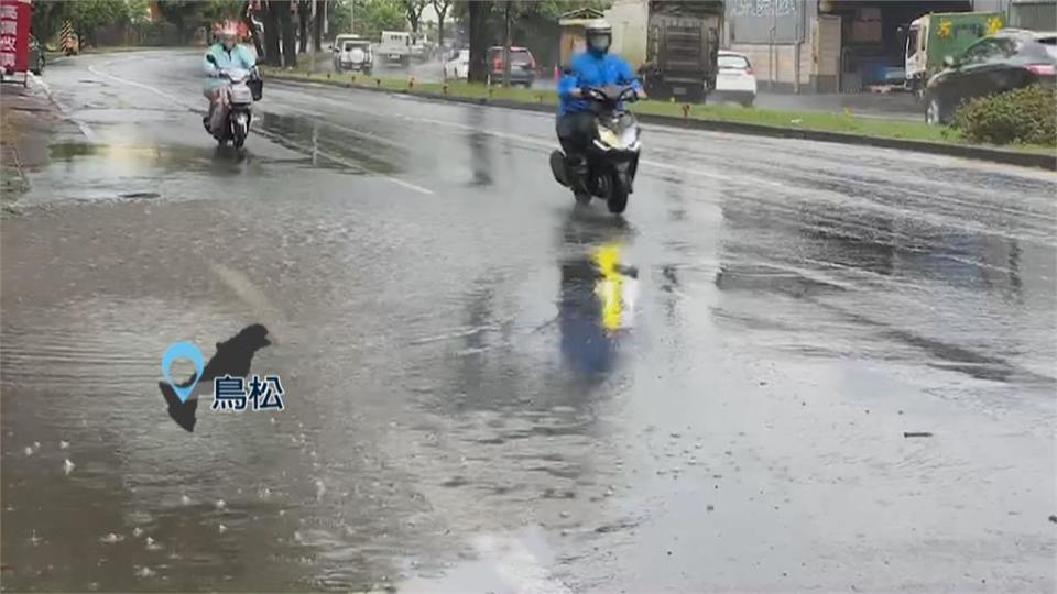 大雨狂炸高雄！　路樹倒塌連根拔起橫躺在車道