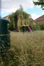 West Midlands playground has grown into a "jungle" 