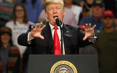 Donald Trump during a rally in Pensacola, Florida, on Friday when he endorsed Mr Moore - Credit: Getty Images