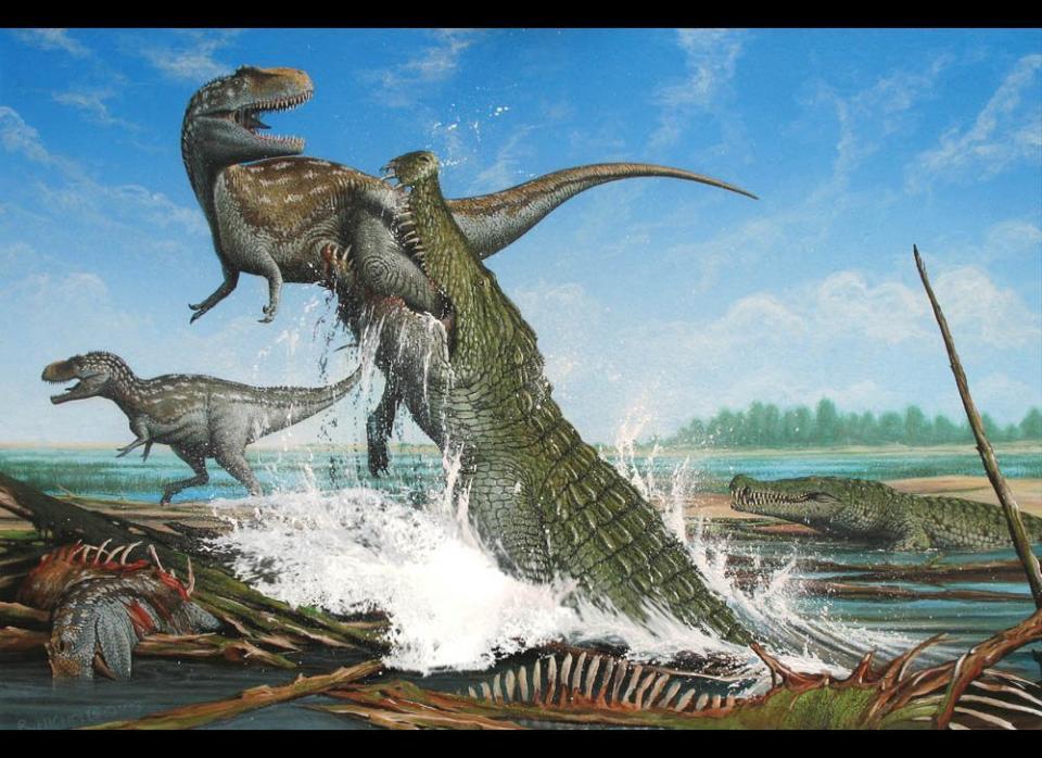 The giant crocodile, Deinosuchus riograndensis, attacks an Albertosaurs, a smaller relative of the Tyrannosaurus, in Late Cretaceous North America, 75 million years ago.  Acrylic painting, 2003.