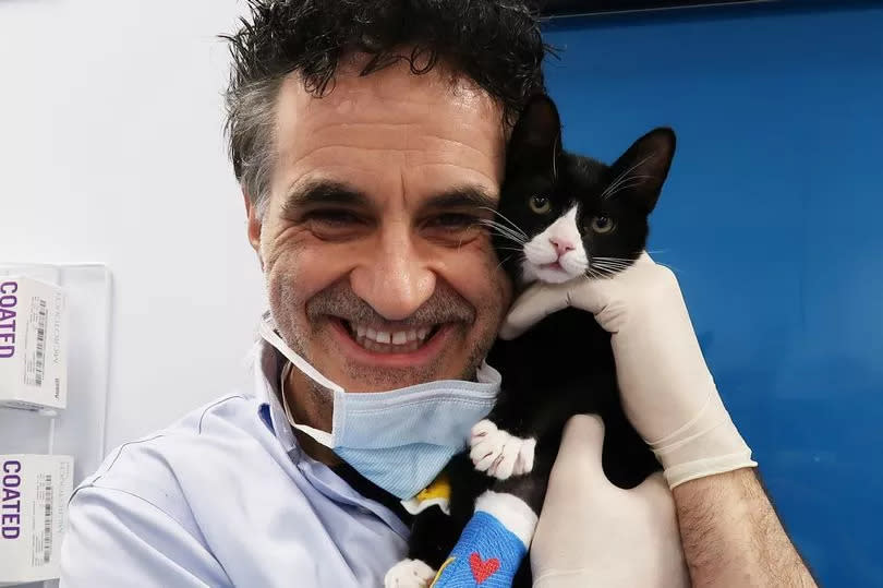 The Supervet, s17 Ep1.  Noel and Fury