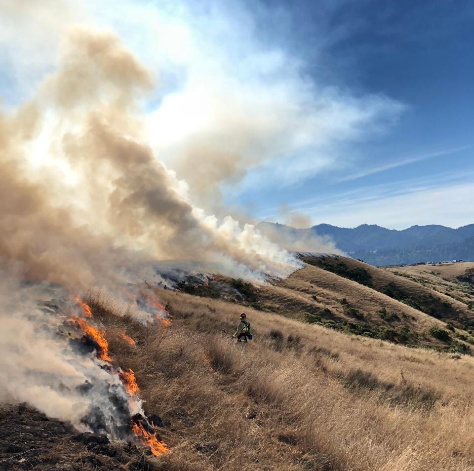 Ranchers in Humboldt County are using prescribed fire to improve coastal rangeland.&nbsp; (Photo: Lenya Quinn-Davidson)