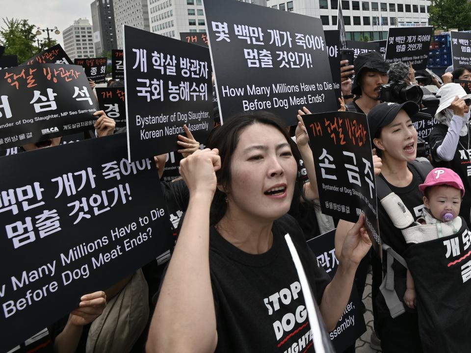 South Korean animal rights activists protest against the dog meat trade in front of the National Assembly in Seoul, South Korea.