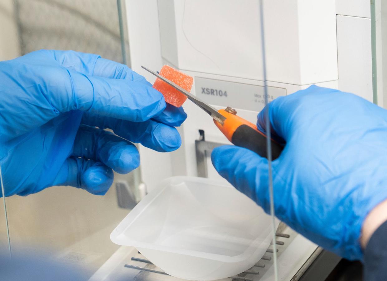 A THC-infused gummy edible is cut into sample pieces before being run through various tests at Infinite Chemical Analysis Labs in Jackson on Wednesday, April 10, 2024.