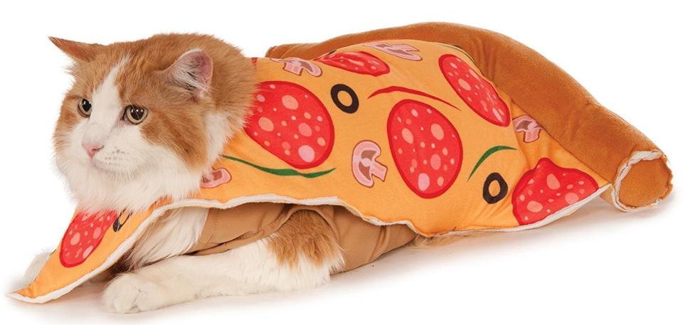 The predecessor&nbsp;to Pizza Rat. <a href="https://www.amazon.com/Pizza-Slice-Pet-Suit-Small/dp/B01C4K8XPC/" target="_blank">Get it here</a>.&nbsp;