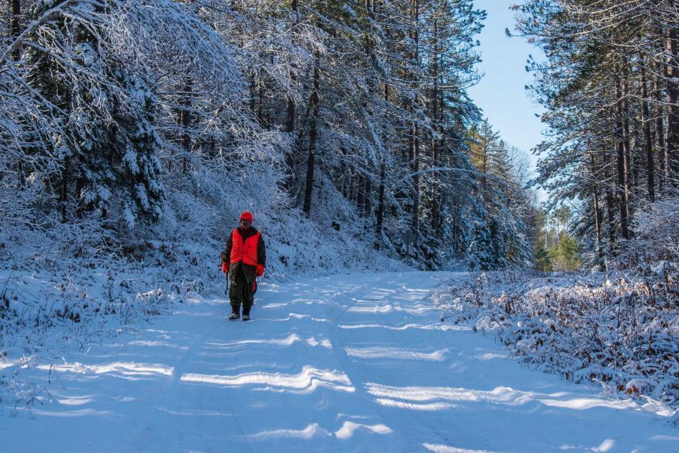 Deer hunter Robert Hassenrik of Northville, Michigan, walks on a snow-covered road in November in Iron County during firearm deer season.