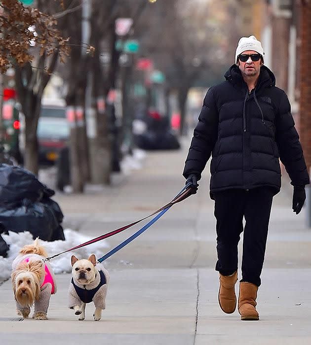 Hugh was seen on Valentine's Day with his nose still protected. Source: Getty