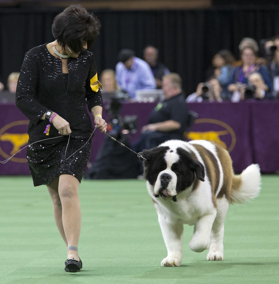 (AP Photo/Mary Altaffer)