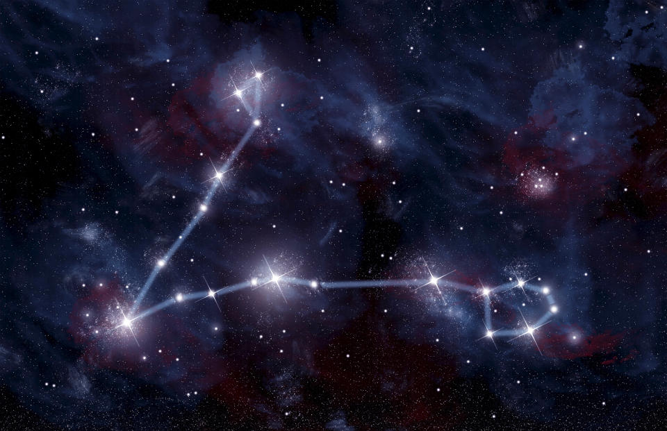 Constellation Pisces the Fish