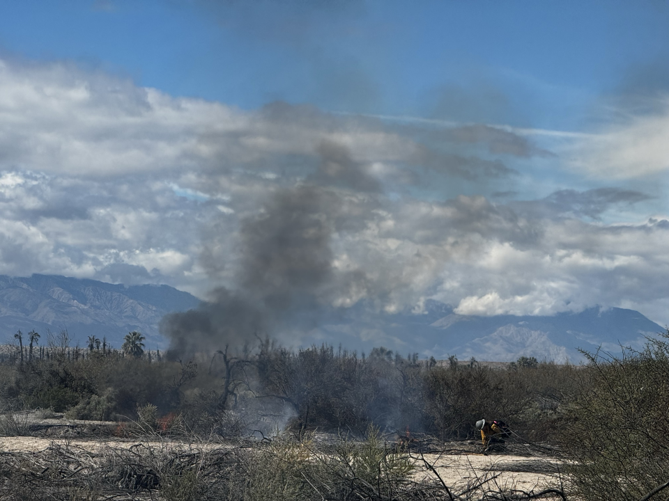 About 350 acres of the Dos Palmas Preserve burned by Wednesday morning, after a "prescribed" burn begun Tuesday became a wildfire, according to U.S. Bureau of Land Management officials on February 21, 2024.