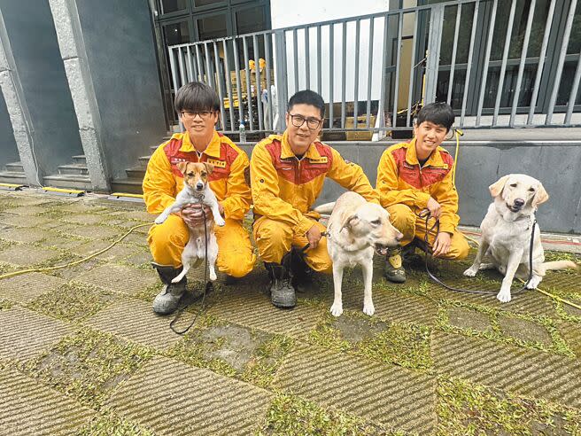 花蓮縣消防局的3隻搜救犬Hero（右）、Fancy（中）跟Wilson（左），初登場就肩負0403花蓮大地震搜救任務，表現優異。（羅亦晽攝）