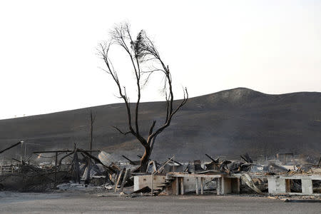 Burnt structures are seen at the historic Stornetta Dairy along Highway 121 during the Nuns Fire in Sonoma, California, U.S., October 9, 2017. REUTERS/Stephen Lam