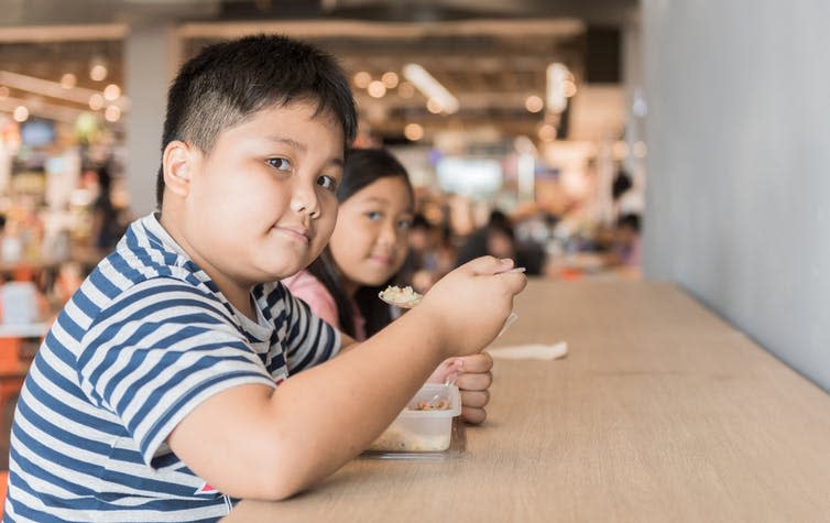 <span class="caption">People in south Asia are more likely to misclassified according to the BMI measure of fatness than Europeans.</span> <span class="attribution"><a class="link " href="https://www.shutterstock.com/image-photo/obese-brother-sister-eating-box-lunch-697576930" rel="nofollow noopener" target="_blank" data-ylk="slk:Shutterstock;elm:context_link;itc:0;sec:content-canvas">Shutterstock</a></span>