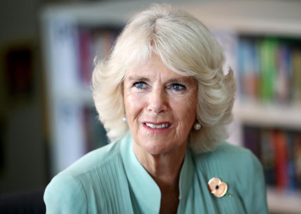 Camilla and controversial author Germaine Greer 'are close friends'. Photo: Getty