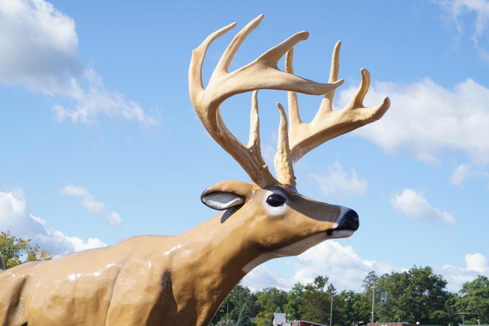 The antlers of the Jordan Buck statue in Danbury mimics the massive 10-point rack on the former world record whitetail shot by James Jordan near Danbury in 1914.