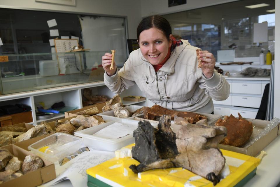Here’s me at the Flinders University palaeontology lab, holding the fossil vulture tarsus (left) and a tarsus of a living vulture species (right). Author provided