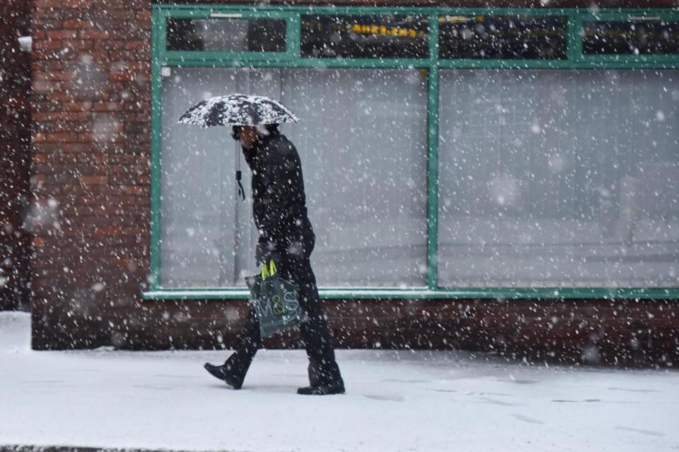 Snow falls in north London on Sunday morning (Rex)