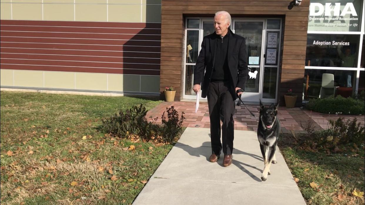 Joe Biden walks out of the Delaware Humane Association with his canine pal Major. (Photo: Steph Gomez via Delaware Humane Association)