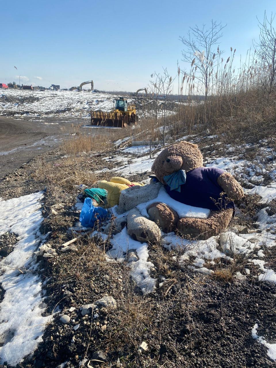 Discarded stuffed animals sit along a roadway in the Smiths Creek Landfill in Kimball Township Wednesday, March 1, 2023.