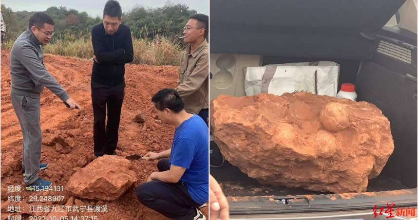 大陸江西挖出恐龍蛋化石，讓當地博物館專家相當開心。（圖／翻攝自紅星新聞）