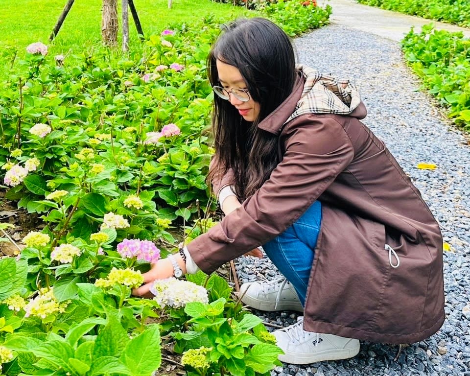 《圖說》上千株繡球花是新亮點，一年只開一次花，熱愛賞花的「花粉」們別錯過。〈水利局提供〉