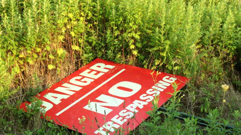 A red metal sign reading DANGER: NO TRESPASSING lies in a field, as if it has been knocked over.