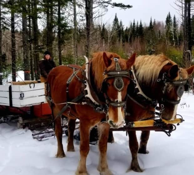 Horseback riding and family sleigh rides are the ideal pandemic activity because it is easy to maintain physical distancing, said Wendy Hudson of Broadleaf Ranch. Adventure activities have been in high demand for the past year.